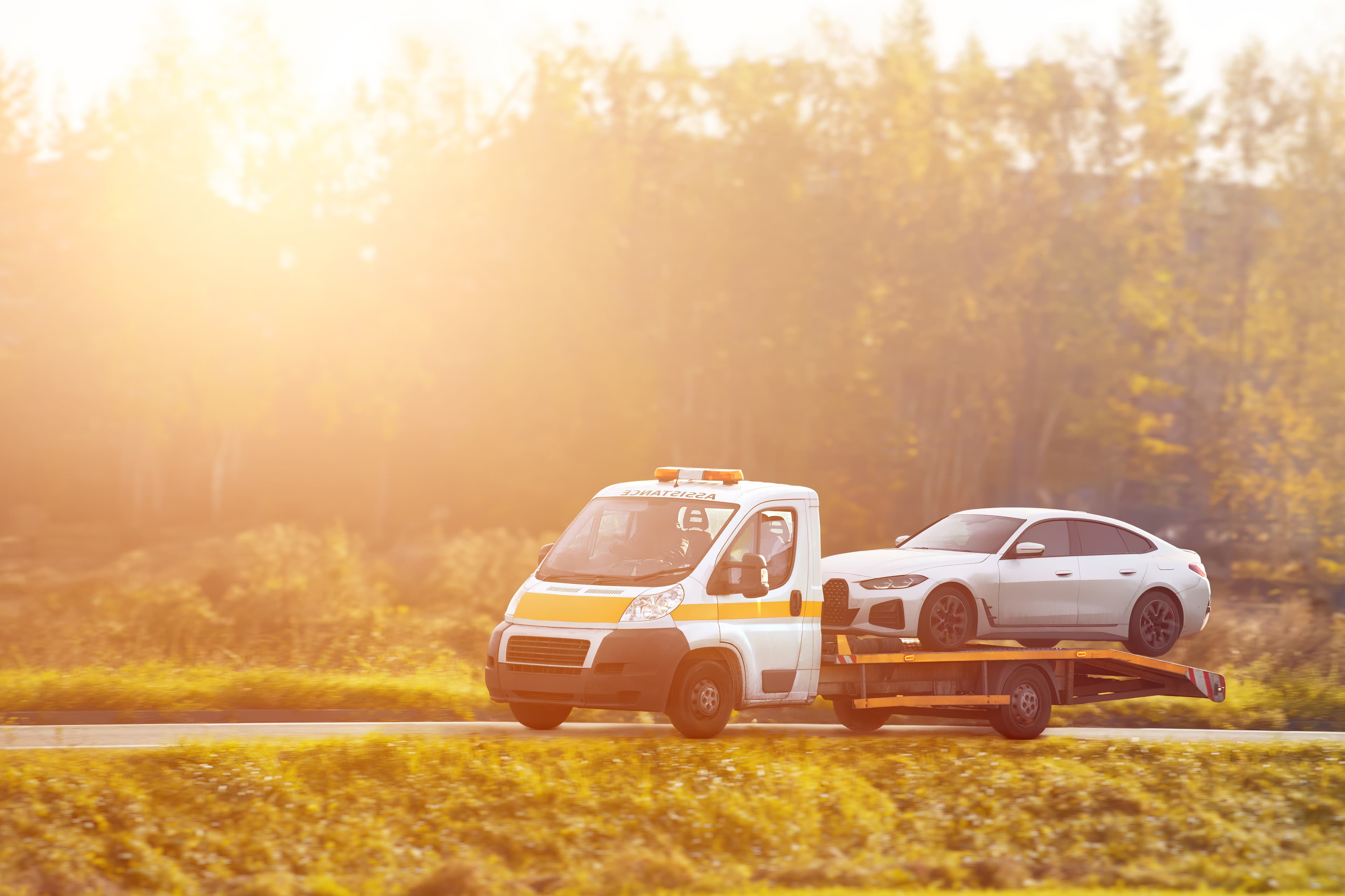 European Recovery (UK – Europe)